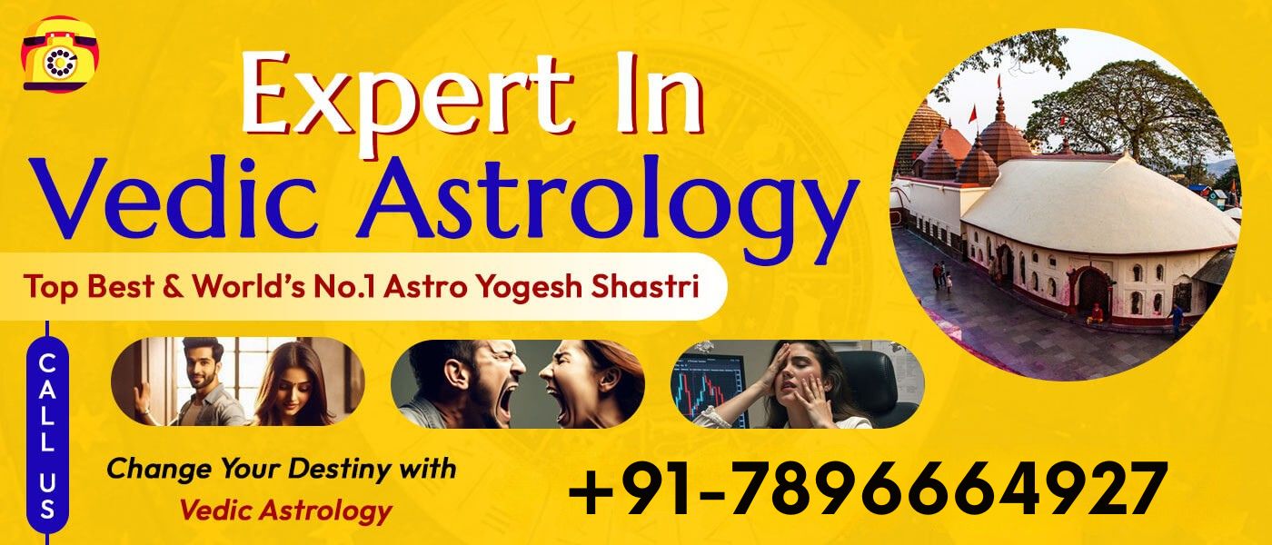 Expert In Vedic Astrology